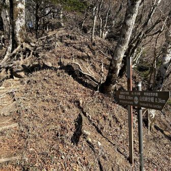 道志道南側ルート、予報通りの強風吹きっぱなし