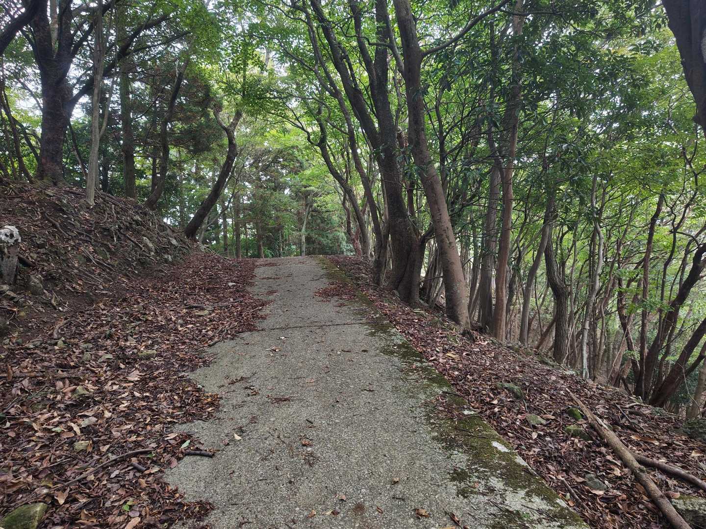 次は両子山へ