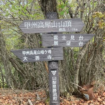 東峰より少し低い