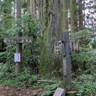 ダイトレに合流