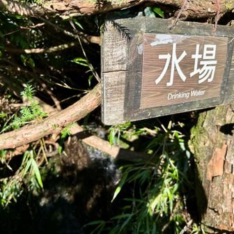 水には困らない💧
本当に助かります