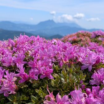 遠くに由布山