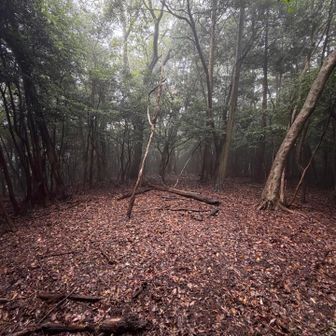 Summit of Otaniyama 