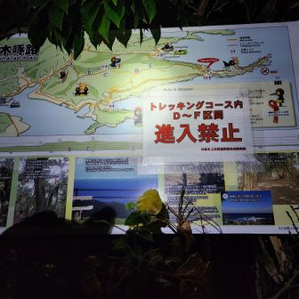 侵入禁止の"F"地点
あえて進入します➡"D"地点へ