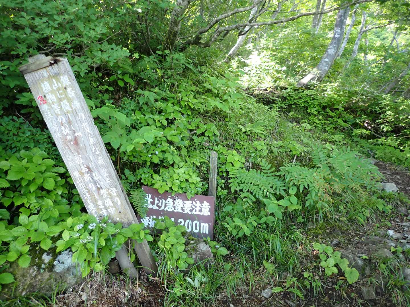 いつも思うけど、ここまでも急登です～(笑)