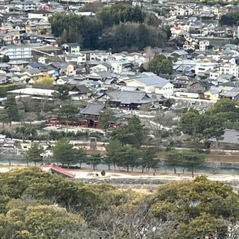 平等院鳳凰堂　方面