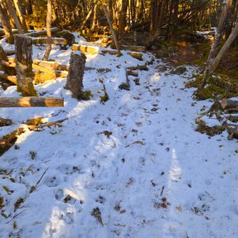 北斜面の積雪はこの程度。
保険でチェンスパ持っていったけど使わなかった。