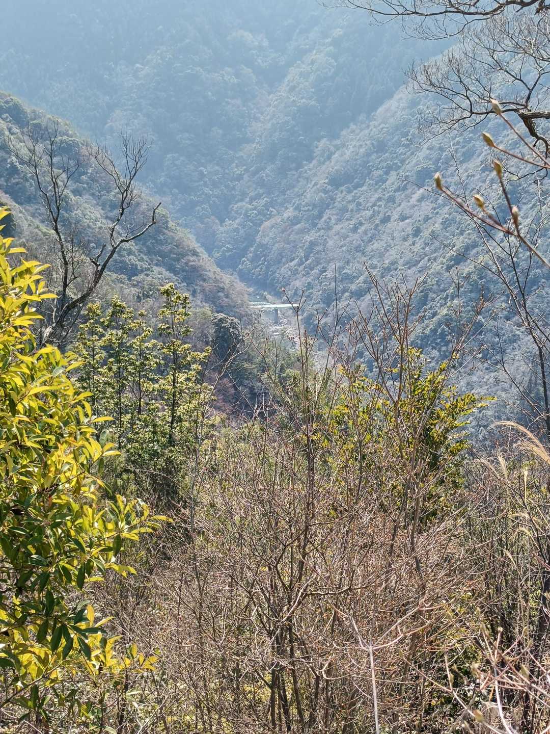 大峰山登山口-大峰山 往復コースの写真