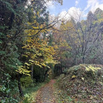 足元は舗装されています