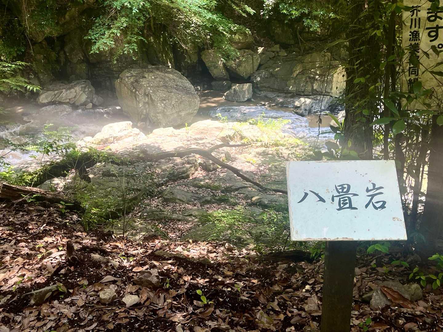 多分、写真の真ん中の岩が八畳岩🪨