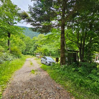 ここを真っすぐ行くと、近道です
行ってみます