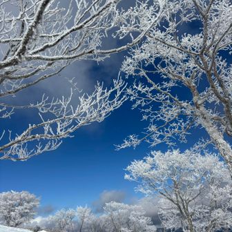 満足やわぁ🥰

さぁ帰ろう