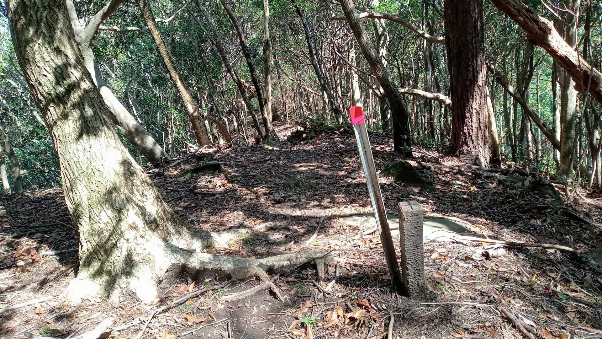 小烏帽子岳から下って