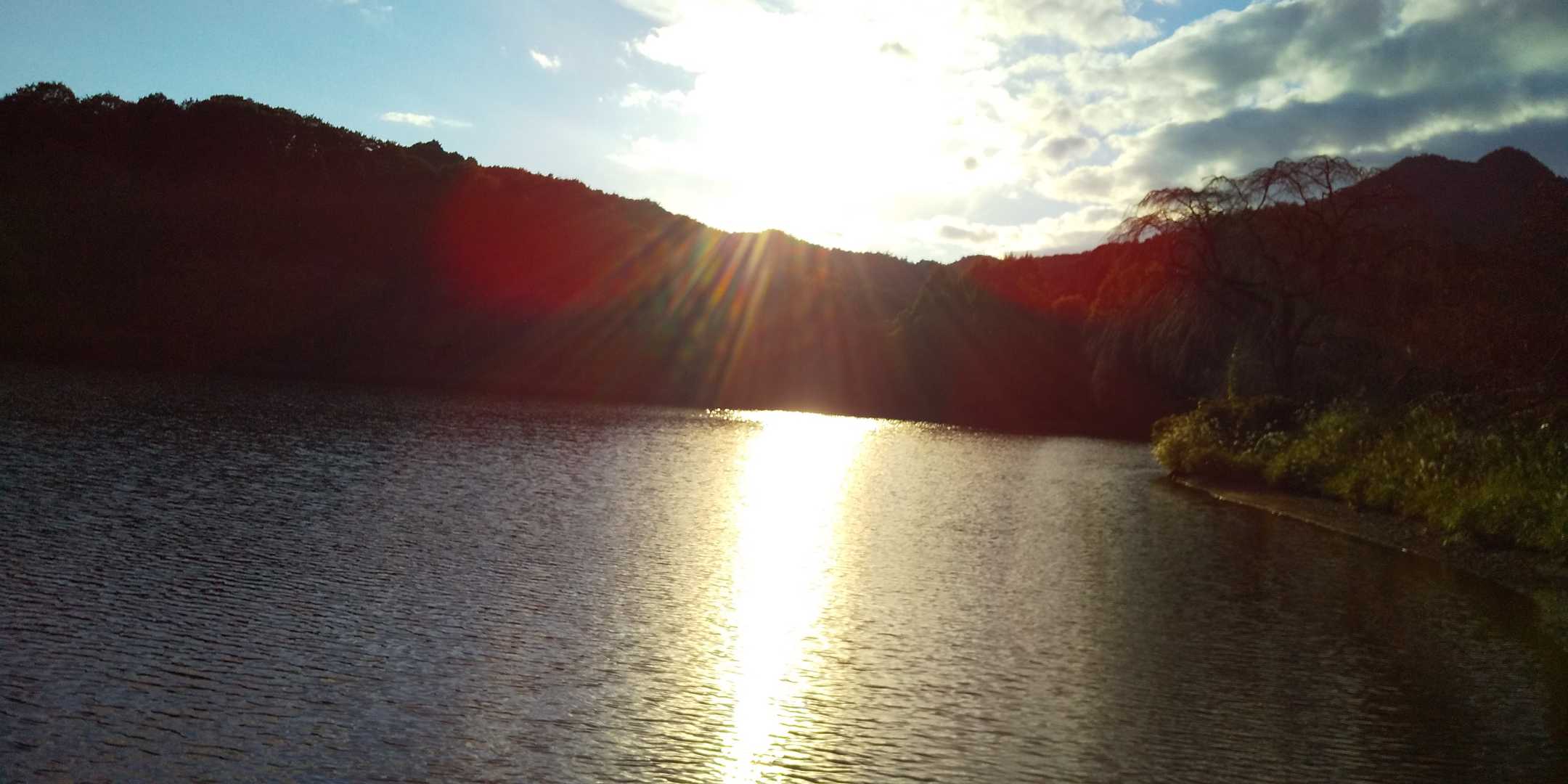 夕方の感じが出たかな🌇