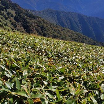 筒上山山方面