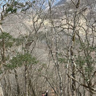 大室山をバックにストックを手にして嬉しそうな大ポンさん😁