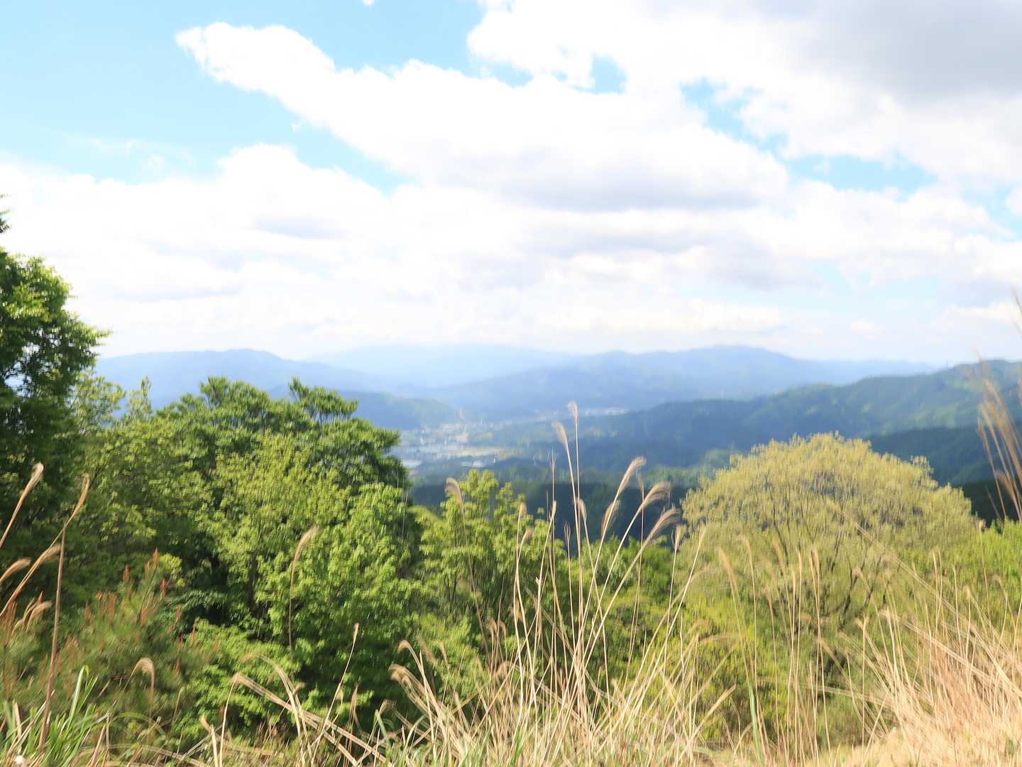 伊吹絶景の地より