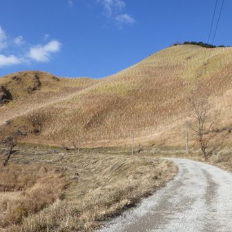 最後は少し車道歩き