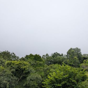 こっちも、何も見えない。
