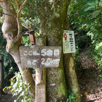 5合目、見晴らし台あります