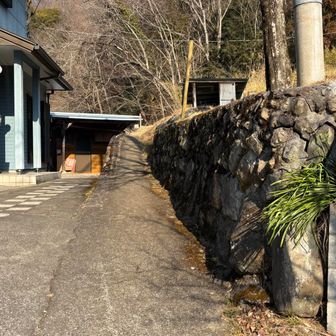 お喋りしながら一般道を歩いていたら、稚児落とし登山口への分岐を見逃して30分のロス。慌てて戻って民家の間の狭い小道から登山道へ。