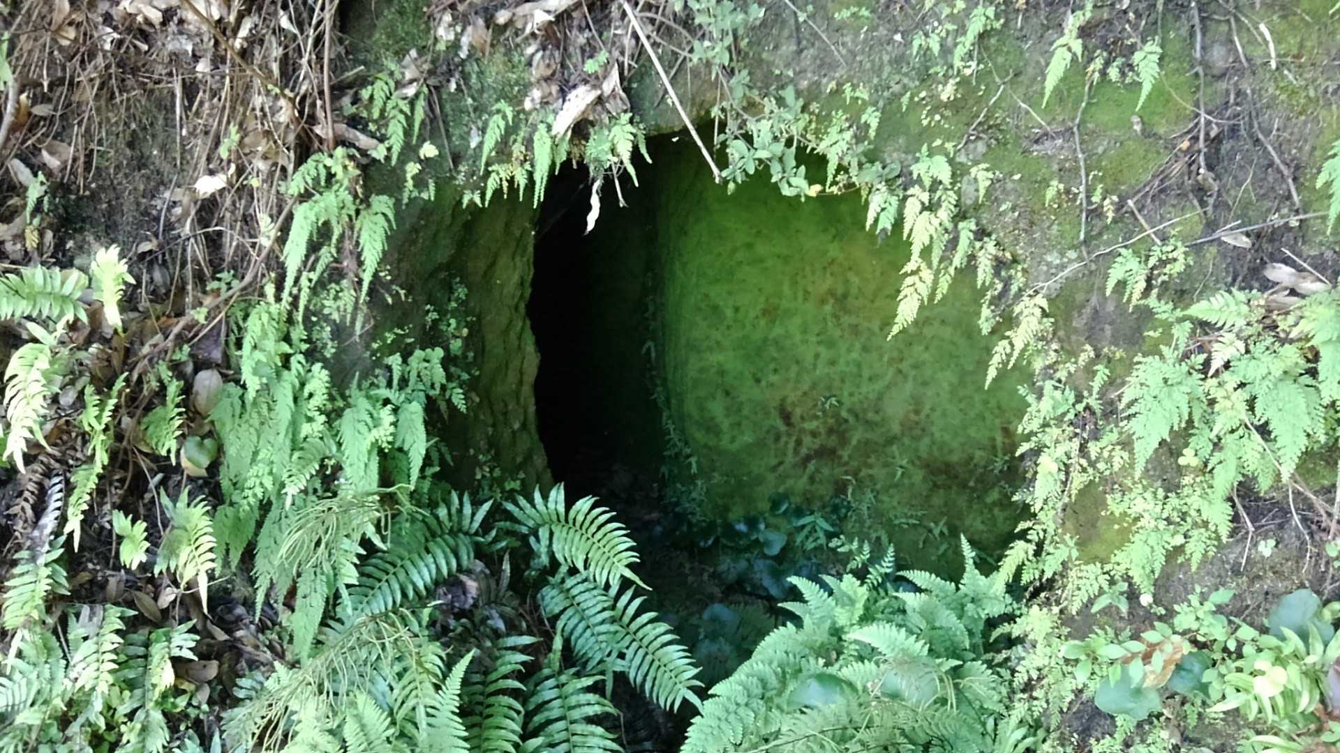 室（むろ）？防空壕？
入ってみたい衝動に駆られるが草が生い茂ってるので諦める。