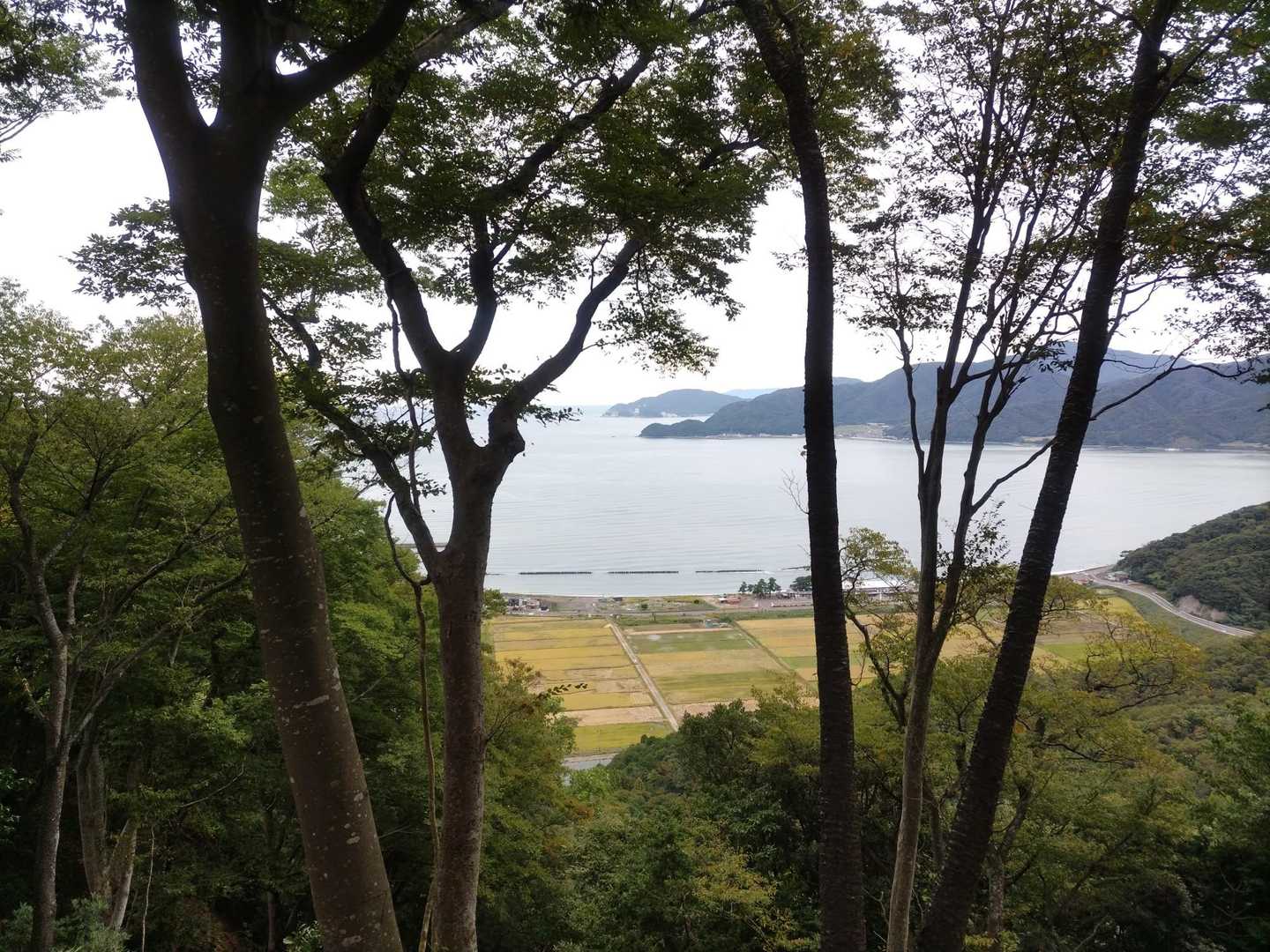 美浜原電方面