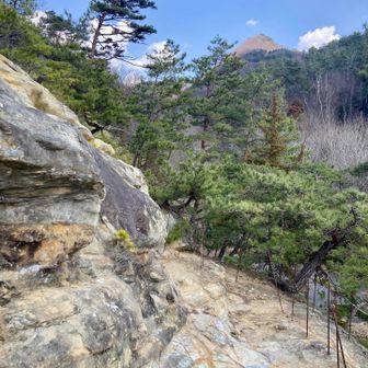 右上に見えるのは、さっき登った唐鳥屋城跡の山かな？虚空蔵山かな？🤔

そう言えば、鬼無里の水芭蕉園(中西山方面)へ向かう車道も素晴らしい地層が見られてオススメです。