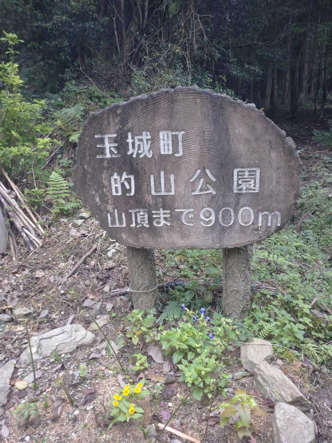 久しぶりの的山公園♪