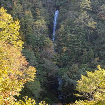 上段の40mが見えている。
連瀑で下は15mほど。
