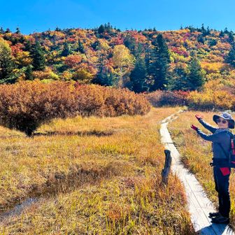 相方：
「錦の屏風🍁🍃🍂✨っていいます」