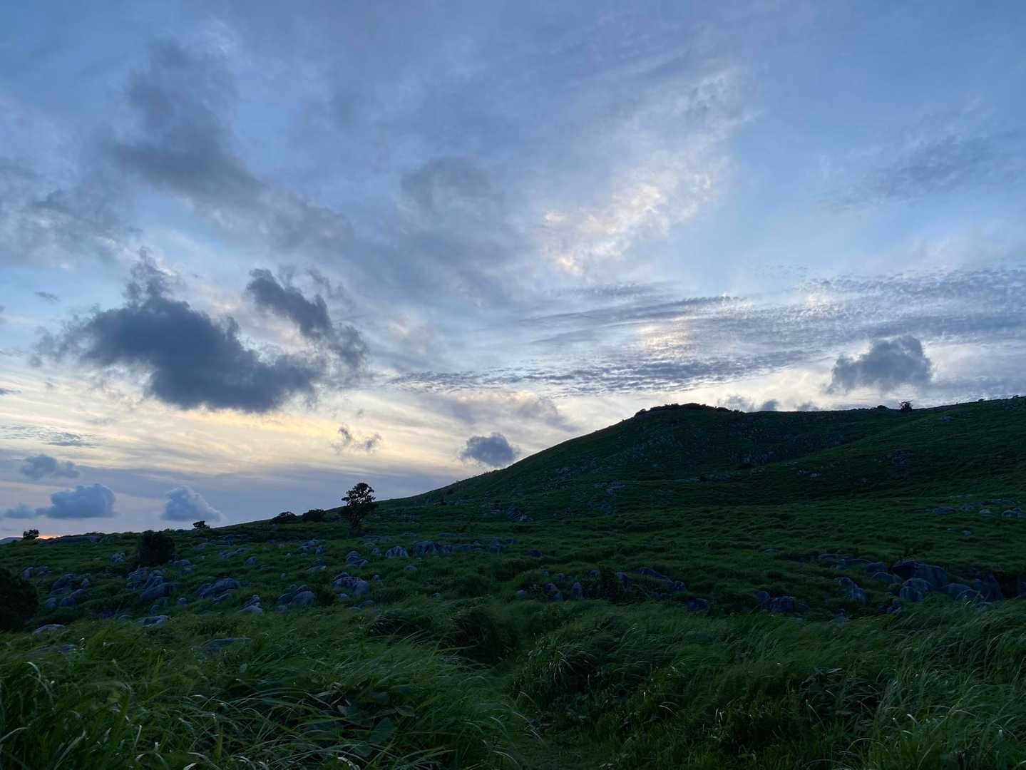 大平山-中峠 周回コースの写真