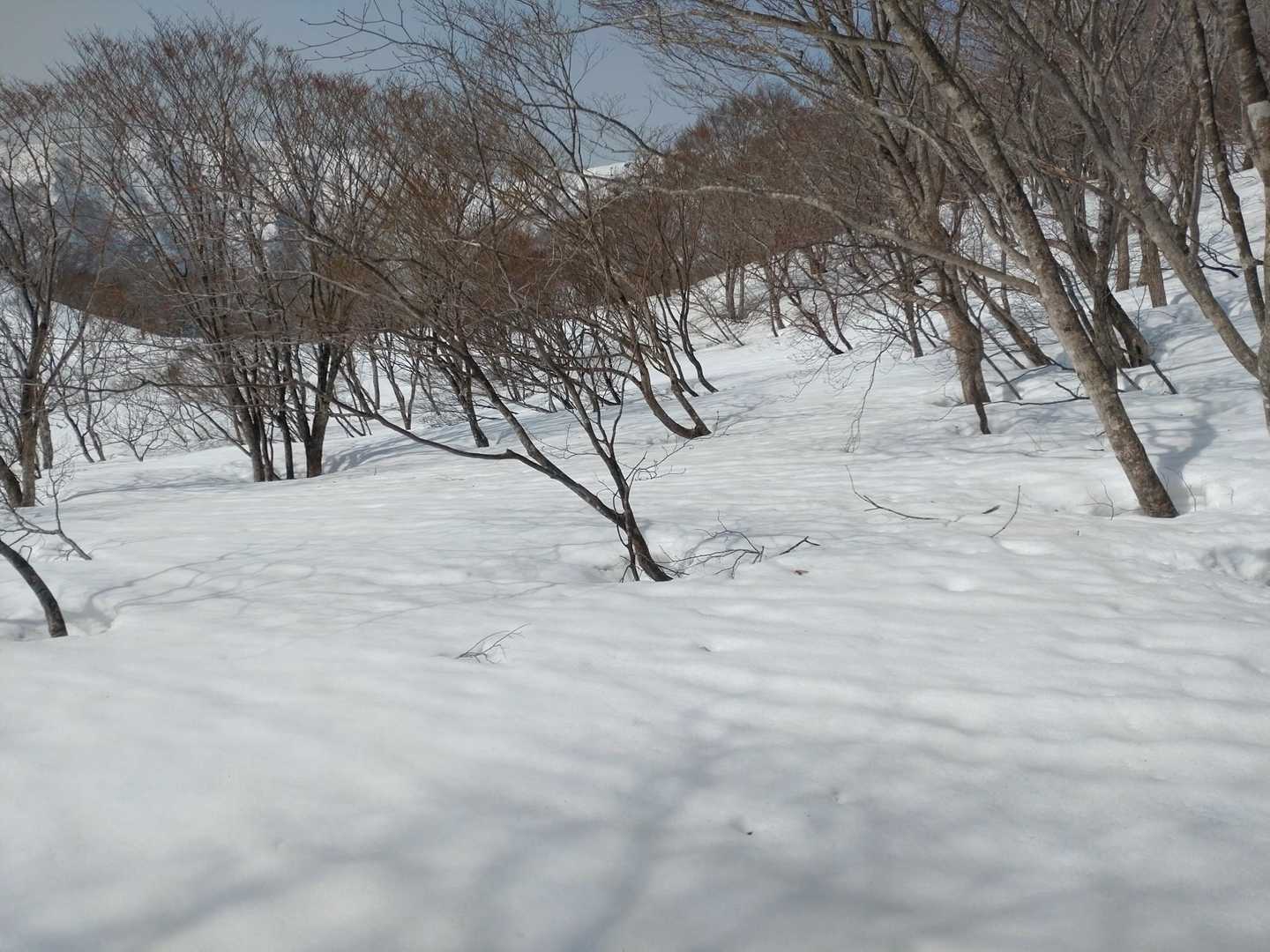 時間あったらズボりに行きたかった