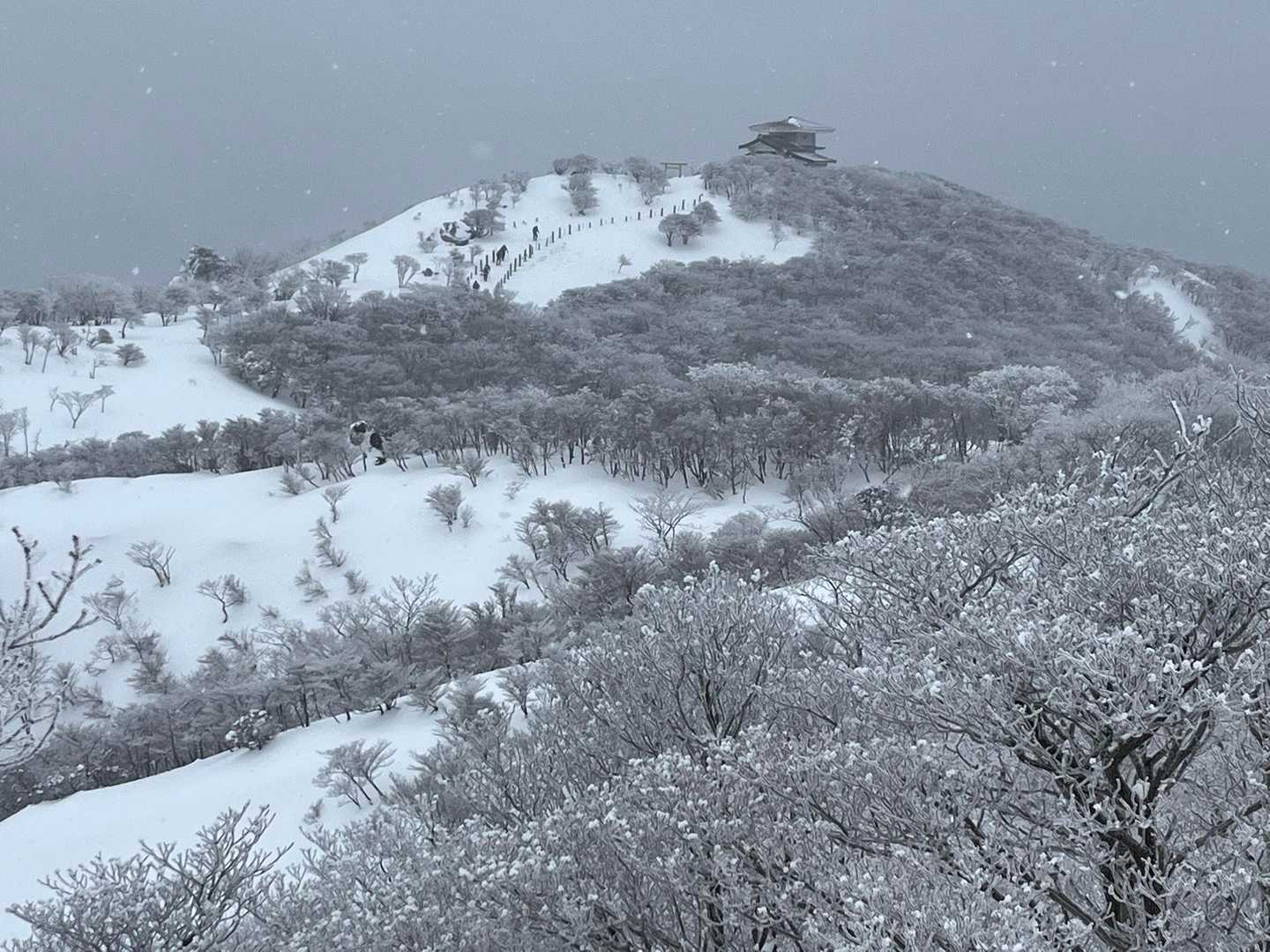 あそこまで行ってみよう👆