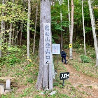 久しぶりの霧訪山。