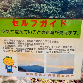 東京湾も見えるのね！