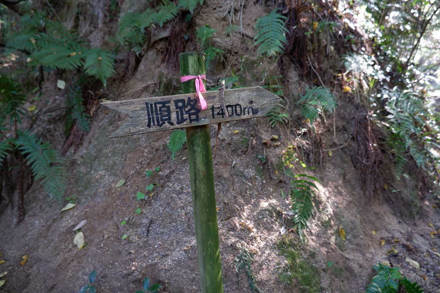 道標多め
