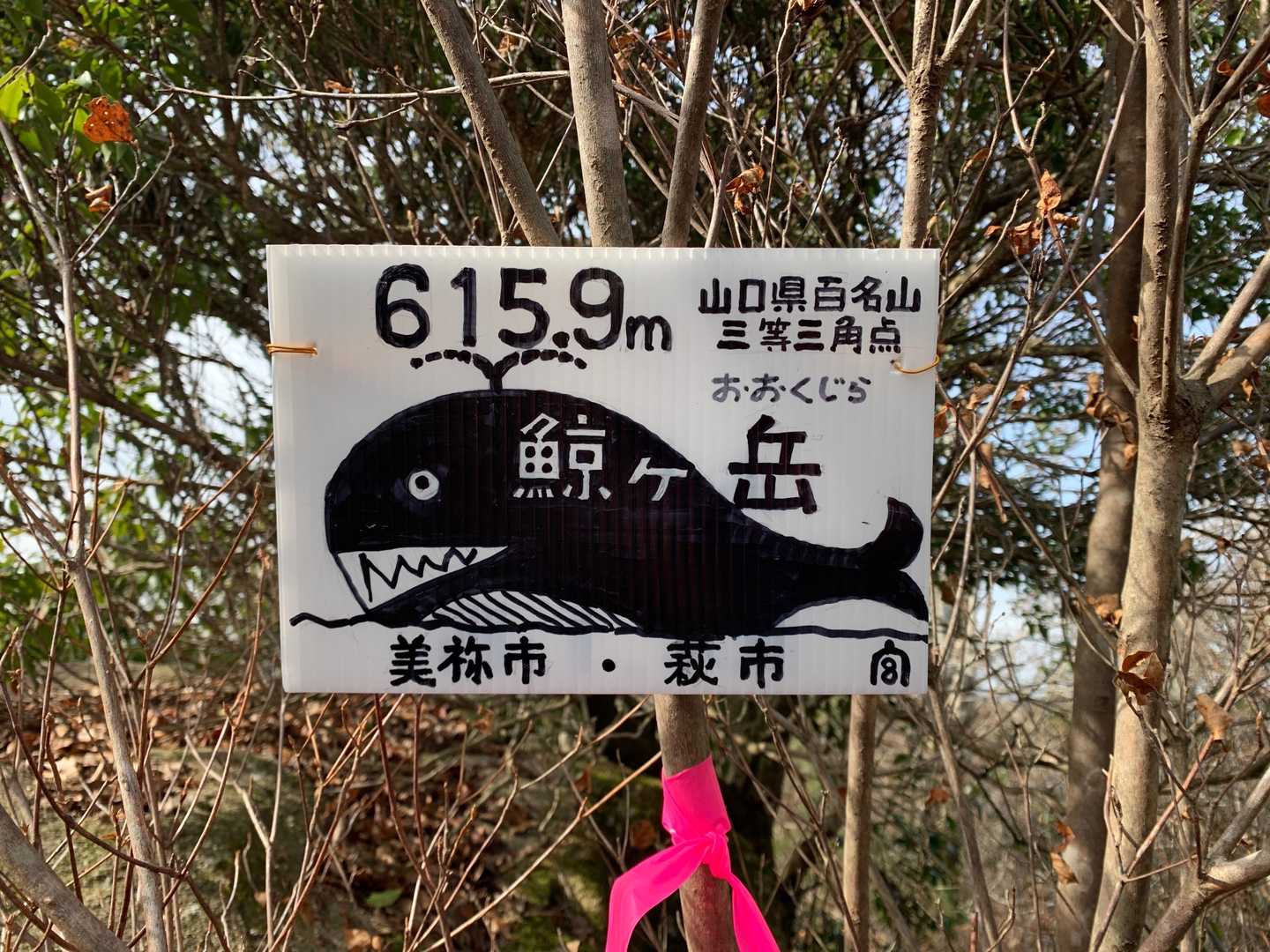 クジラをイメージして作りました😆