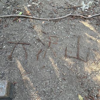 どなたかが枯葉で書いて下さったよう。もうないかもな〜