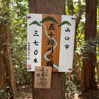 五十鈴川の頭