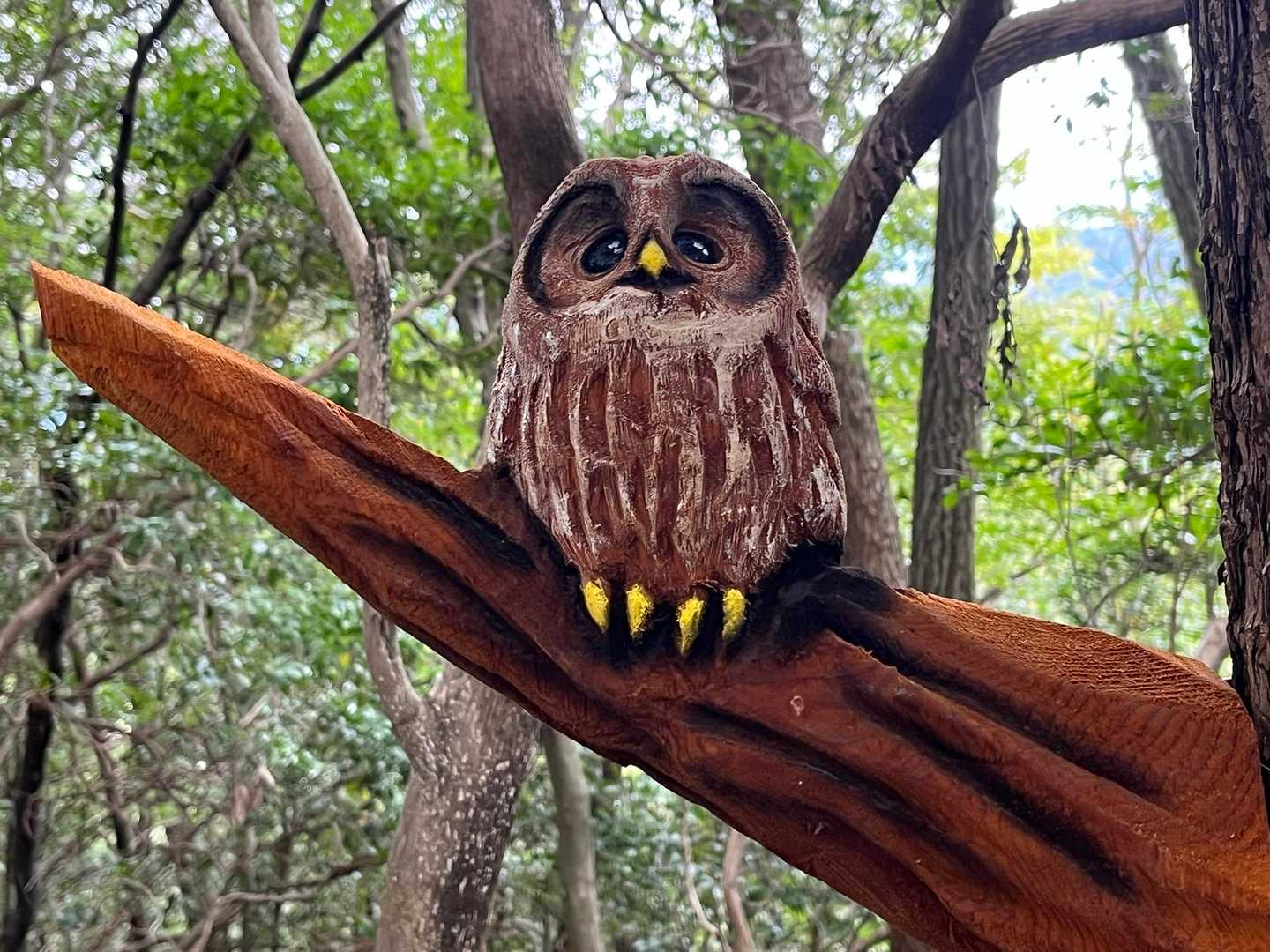 木にはフクロウ🦉