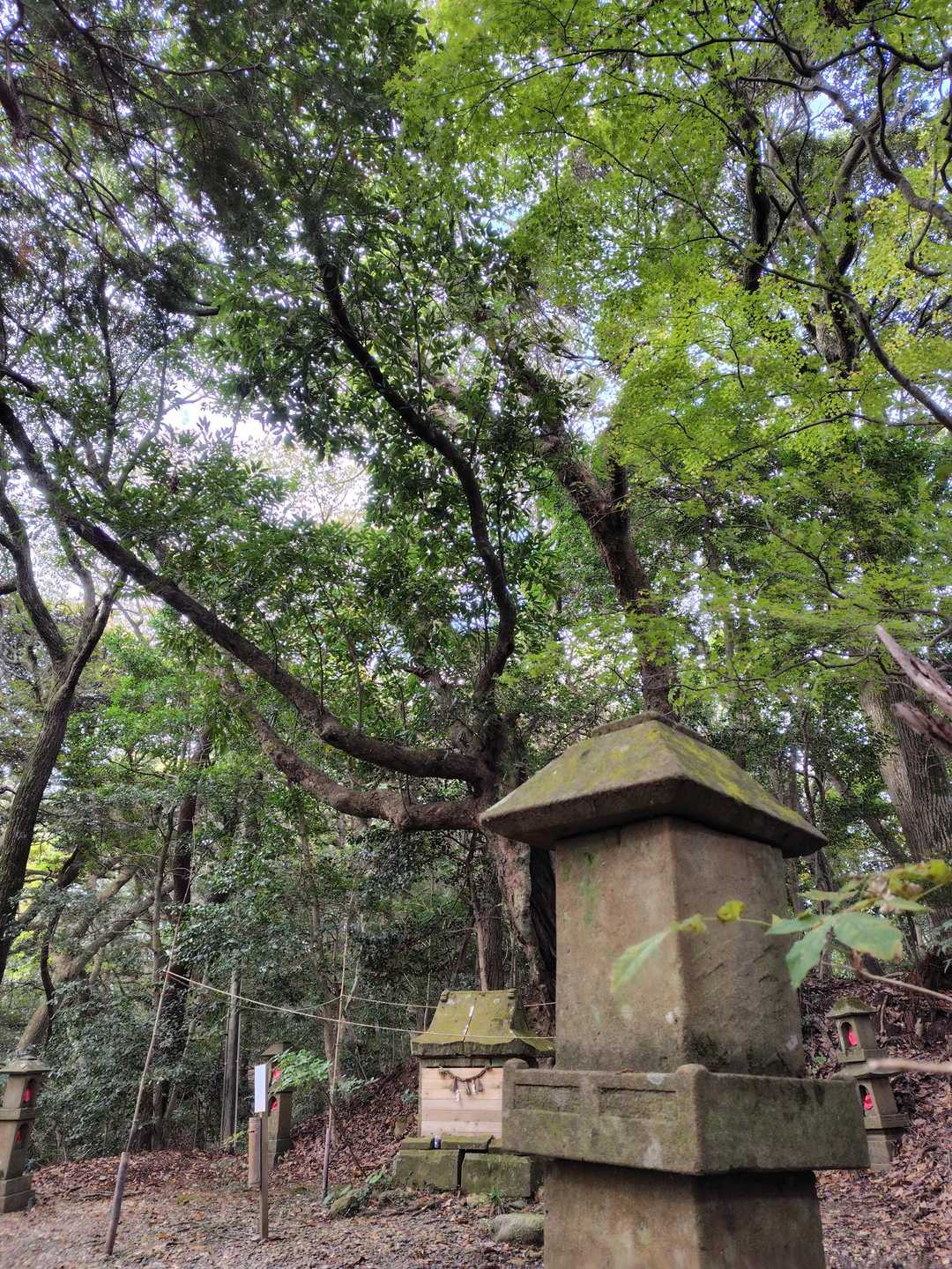 朝日山の 権現様
🌿🙏✨