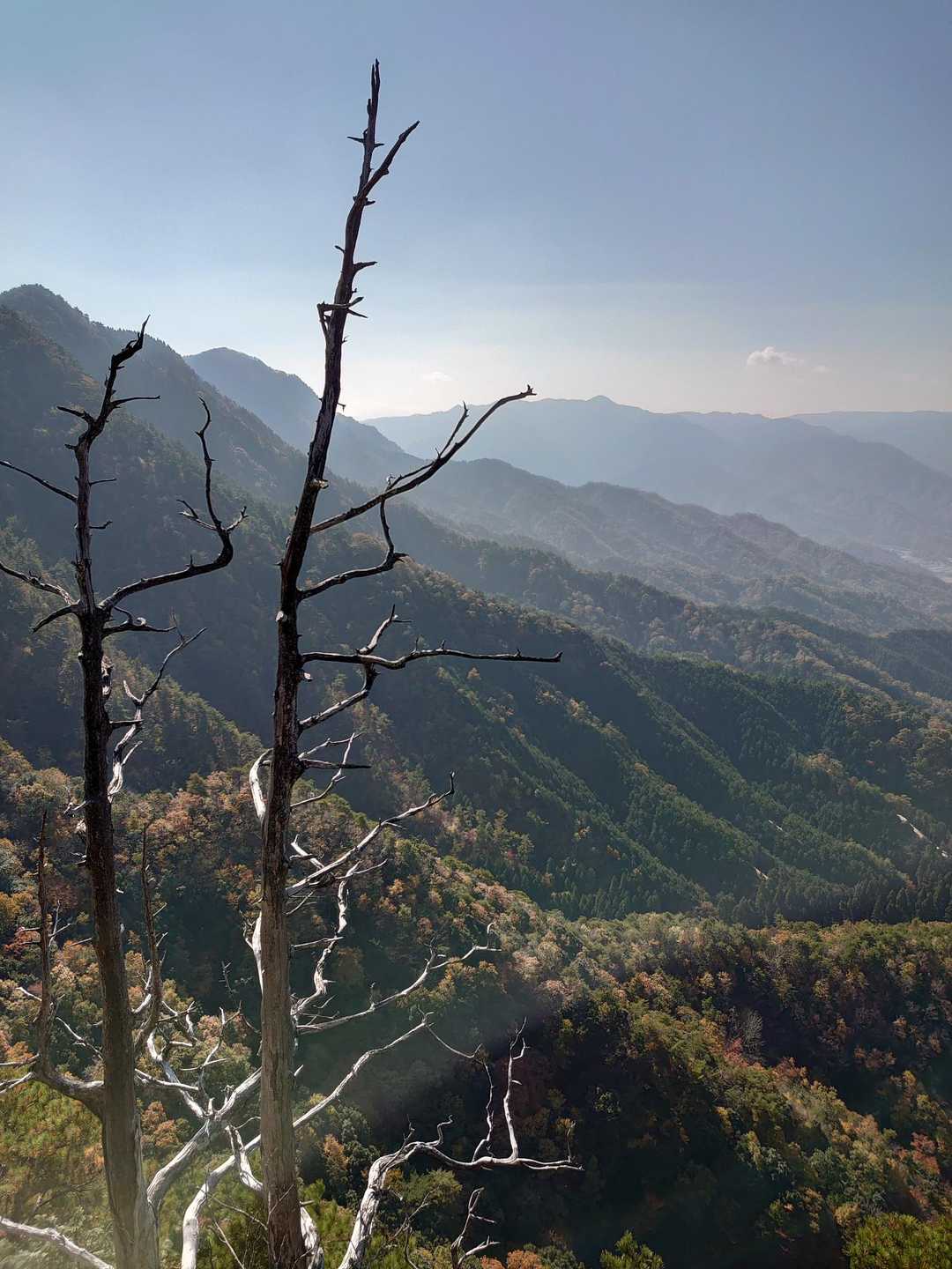 三角山 周回コースの写真