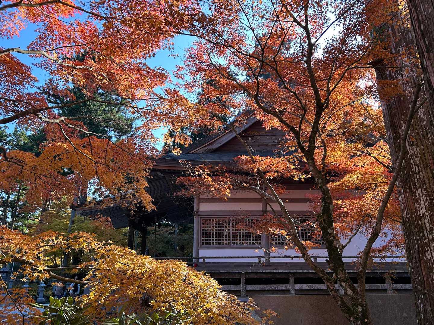 山嶺駅-雲辺寺山 往復コースの写真