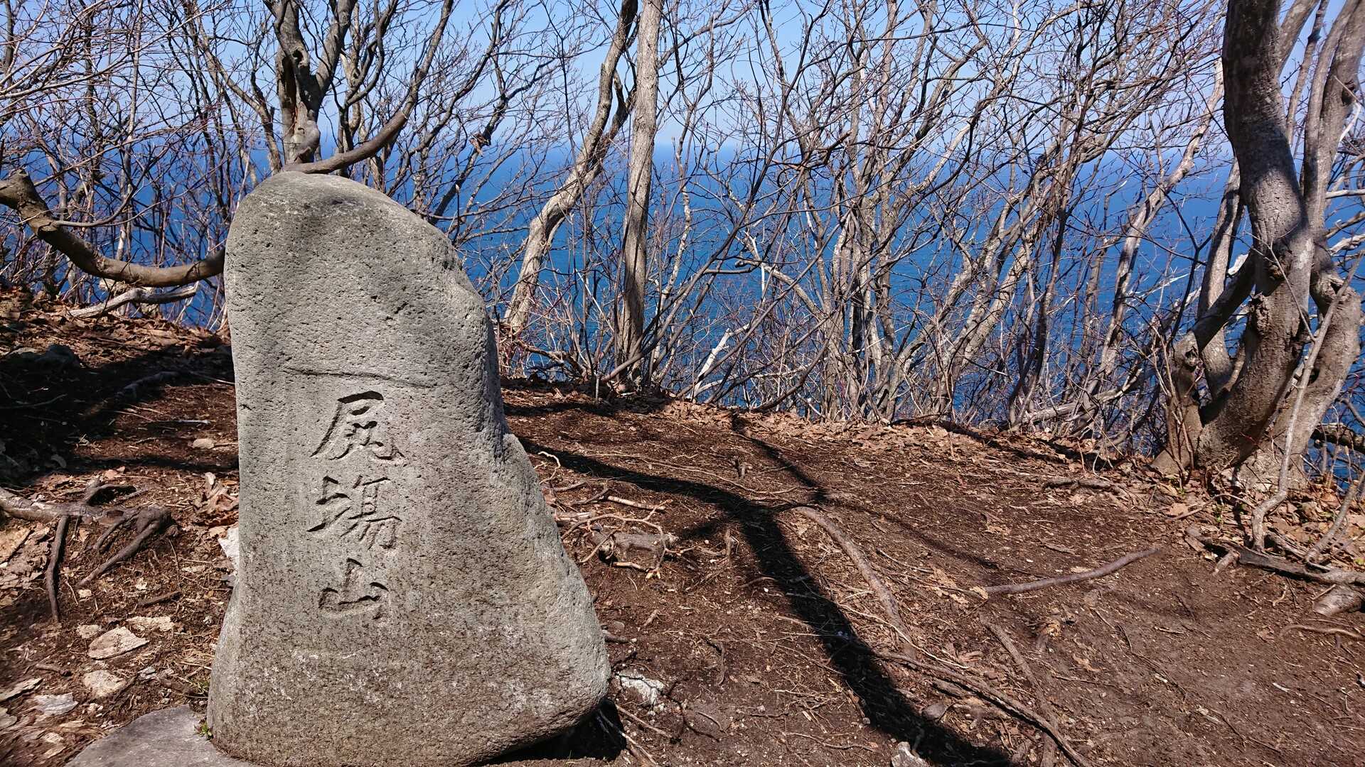尻場山の写真