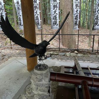 ここにも八咫烏🐦‍⬛