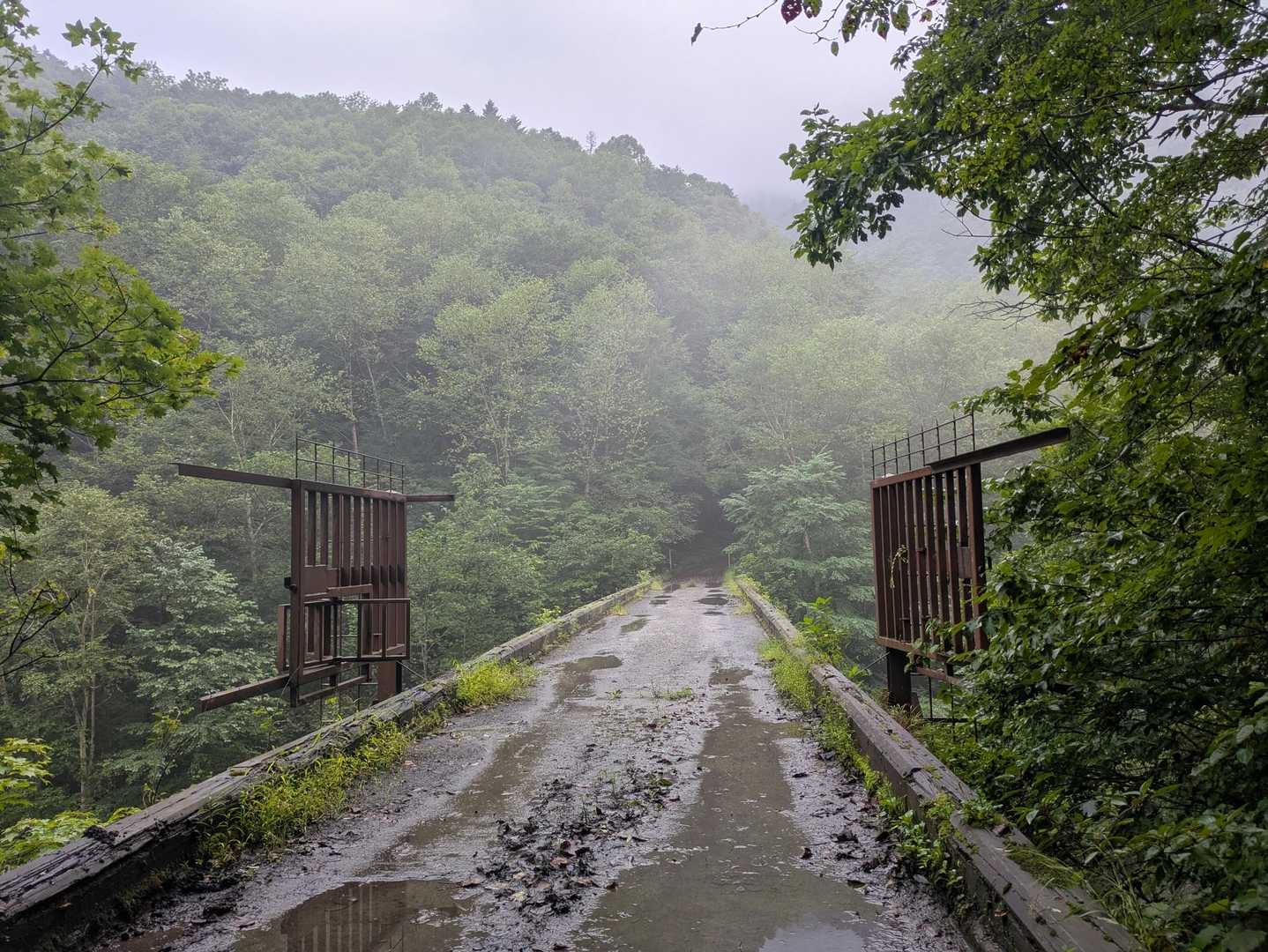 雨あとで、ドロッ,ヌルッ︎՞ ՞慎重に…