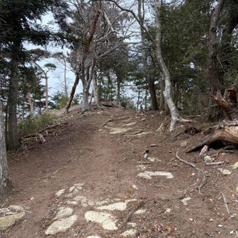 山頂方向を振り返って