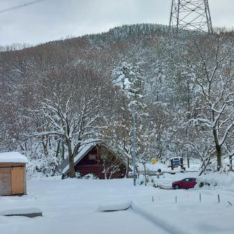 ビタル山登山口着きました