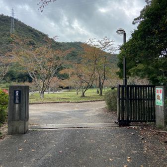 公園を進む
